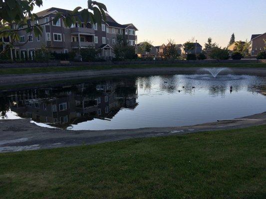 Meridian Greens Village - Manager: Denise R. - Only one fountain has worked since they took over in 2015, still waiting on repairs.