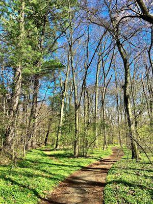 Taylor Arboretum -- April 2023