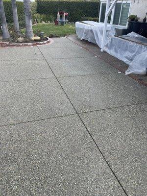 Exposed aggregate back patio with brick ribbons.