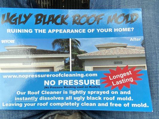 No Pressure Roof Cleaning