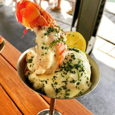 Lobstertini