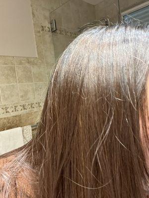 color of hair in the light bc it's harder to see in other photos