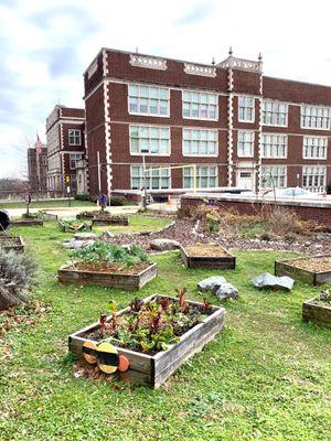 Community garden.