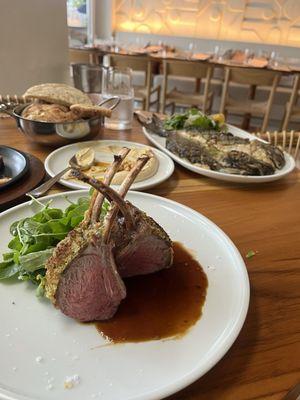 Pistachio crusted lamb chops and grilled Dorade.