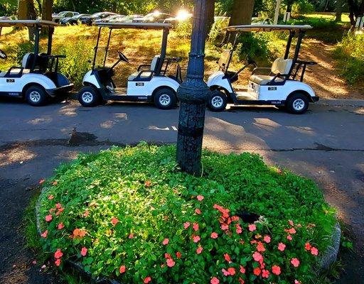 Golf carts lined up - (9/19/2021)