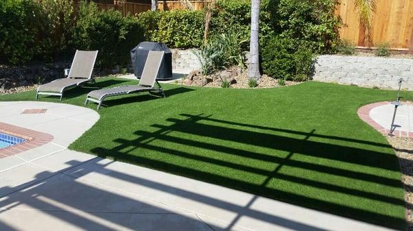 Synthetic lawn with drought tolerant planting and stone bark