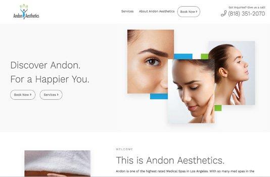 Andon Aesthetics CMS, E-commerce, Wordpress, Responsive web design and Branding by Websites Depot