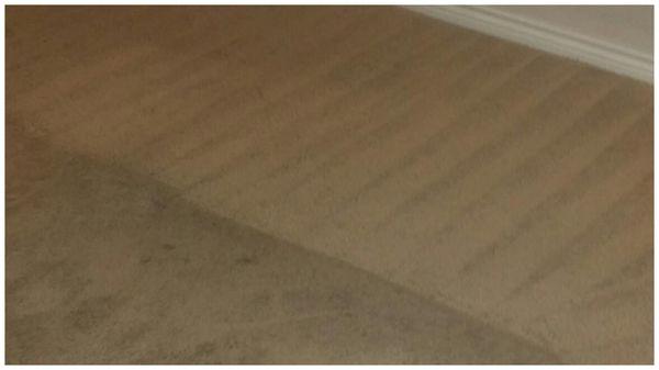 Carpet Cleaning