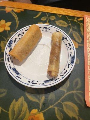 Veggie spring roll and beef spring roll