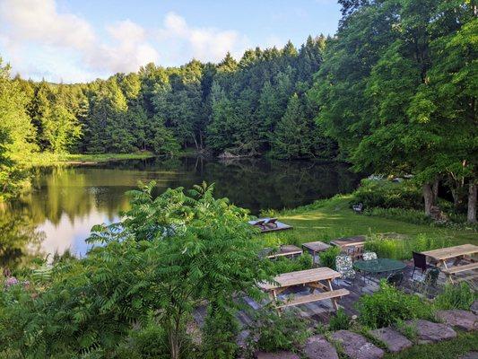 View from back patio