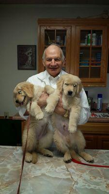 Dr. Holmgren examining Gambit and Gloria.