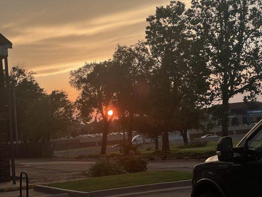 Sunset through the trees of the property