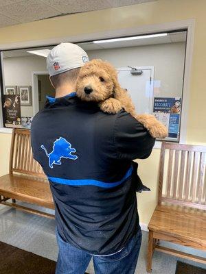 Sweet girl, getting her next round of vaccines.