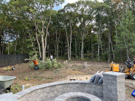 Cutting down trees on the property