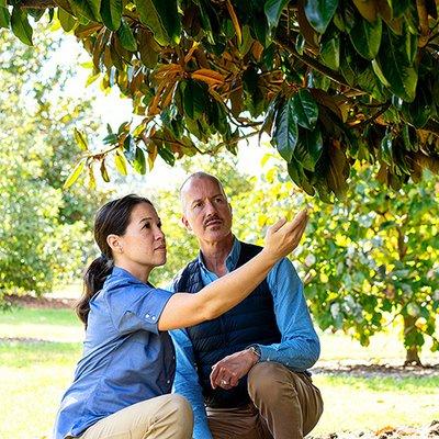 Bartlett Tree Experts