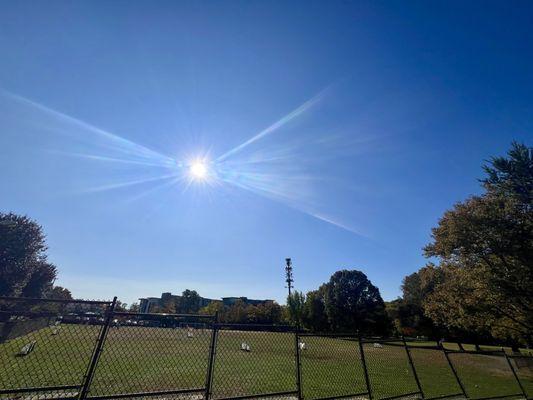 Stagg Field