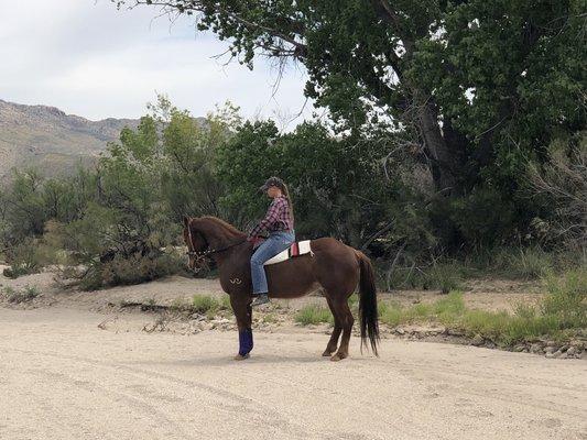 Schooling on the trail