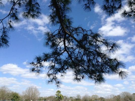 Peaceful blue skies