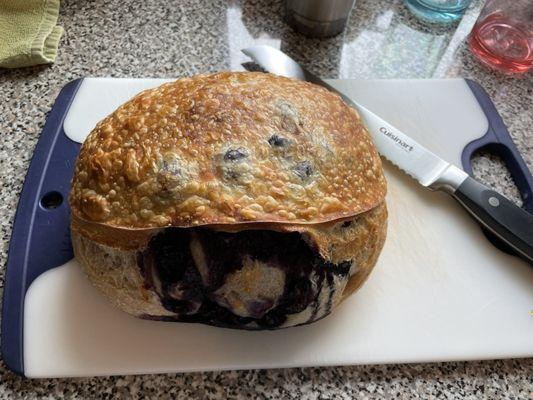 Lemon blueberry sourdough bread.  Crust is nice and crunchy while the inside is soft and very flavorful!