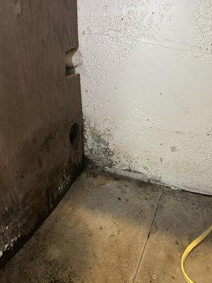 Black mold where dishwasher should be