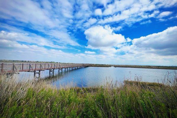 Views of the main boardwalk heading into the reserve