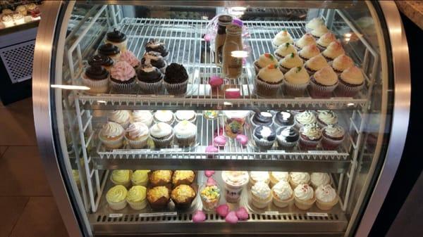 Cupcake display case