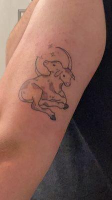 Tattoo of a two headed calf