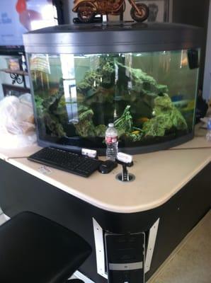 The G's Place fish Tank!