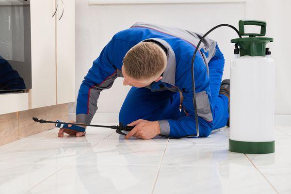 Best Pest Control Contractor Scottsdale and Greater Phoenix area