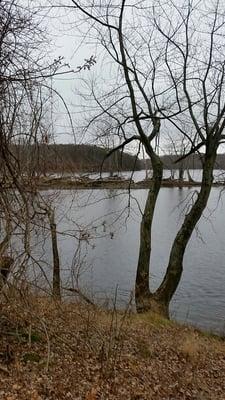 Grey bleak day on the river.