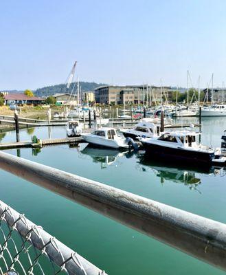 View of the harbor from our seats