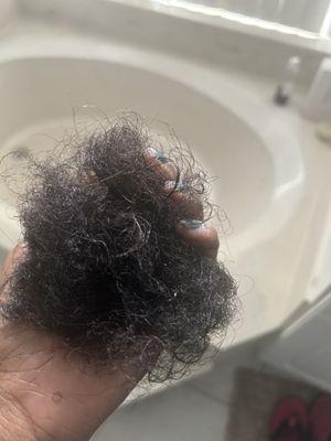 I cried after seeing so much of my hair shed about a week after my All Dolled Up appointment. I've never seen so much hair loss at once.