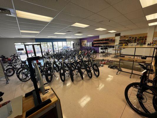 Some of our bikes on display ready for demo!