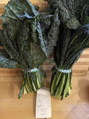 Tuscan Kale