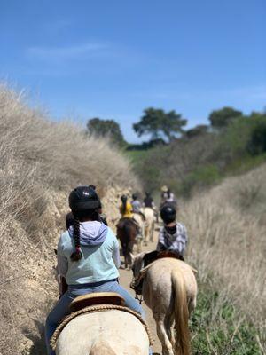 Palos Verdes Stables