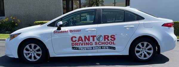 Cantor's Driving School