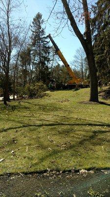 Contact us today! Tree services, landscaping, snow removal, and more!