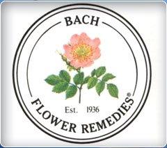 We provide personalized flower essences.