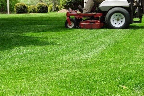 Lawn Cutting Services in Metairie, LA