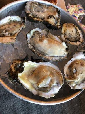 Oysters on the Half Shell 1/2 Dozen