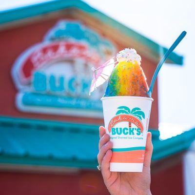 Bahama Buck's - Magnolia