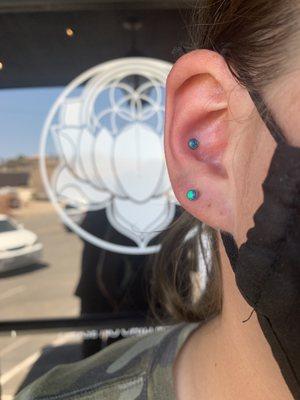 Conch and lobe piercings