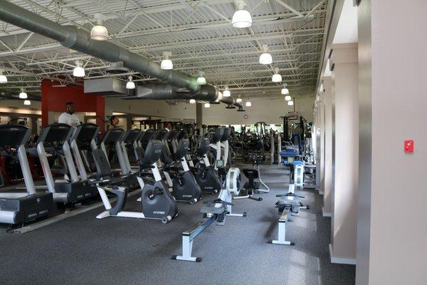 Expansive cardio area