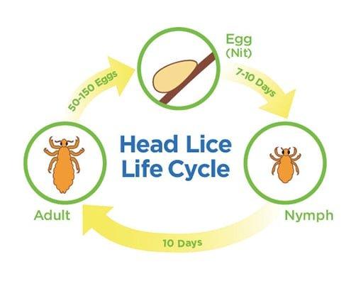 We will stop this cycle!