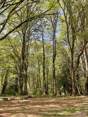 view from our camp site