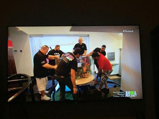 Helping Atm install a 300 gallon aquarium for Prince Royce on the TV show "tanked" on animal planet