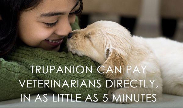 Need Pet Insurance www.trupanion.com