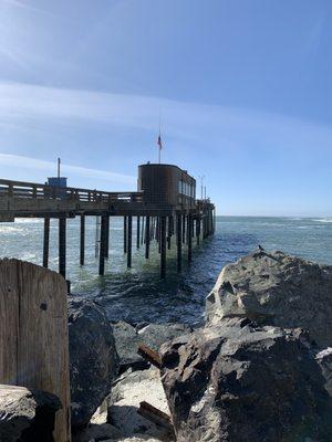 Pier, Point Arena, CA.