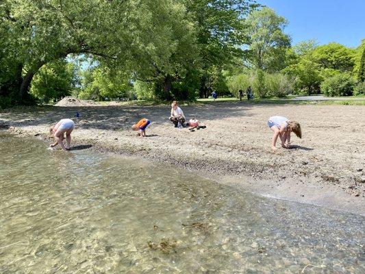 Clean sandy beach