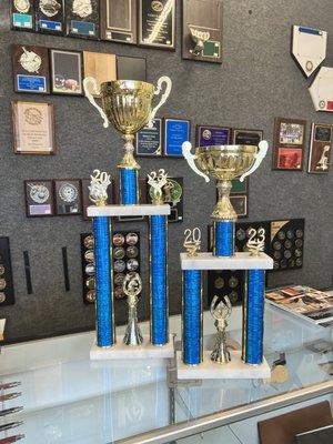 Trophies for our school's fundraiser.